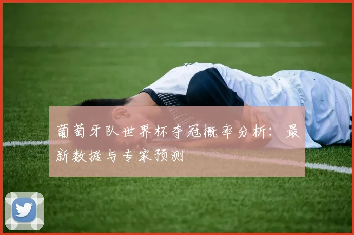 葡萄牙队世界杯夺冠概率分析:最新数据与专家预测