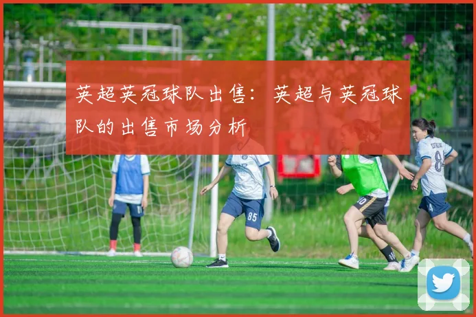 英超英冠球队出售：英超与英冠球队的出售市场分析